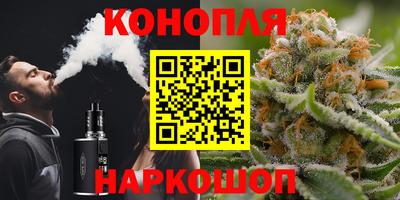 Альфа ПВП Гусев