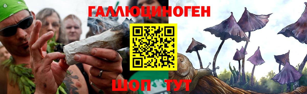 купить закладку  Псилоцибиновые грибы прущие грибы  Вход с VPN  Сердобск 